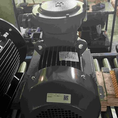 230V 1KW Low Voltage Electric Motors High Efficient RoHS